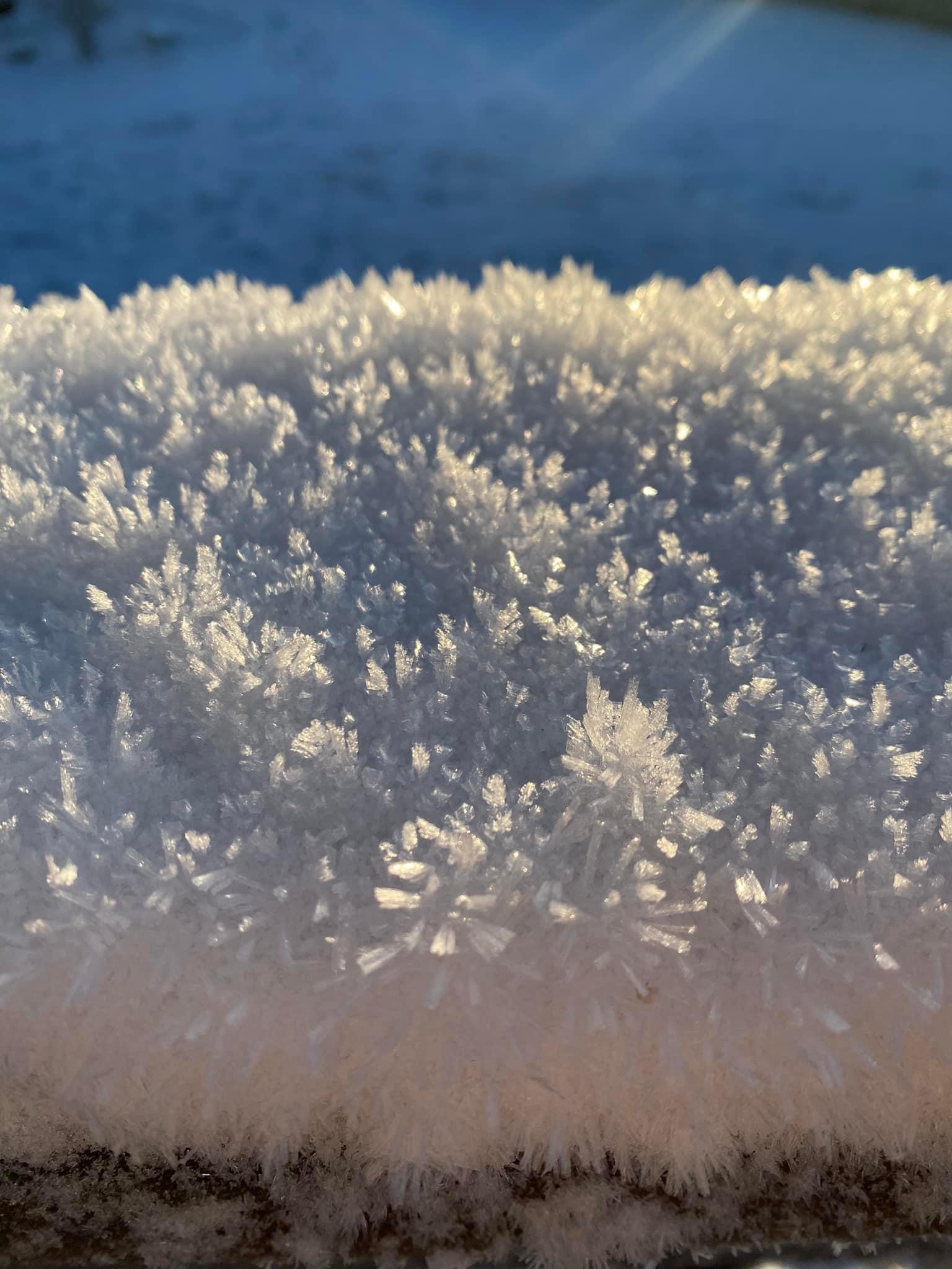 Fridfull Jul 2023 julkonsert med Ålands Projektkör Ålands Projektkör