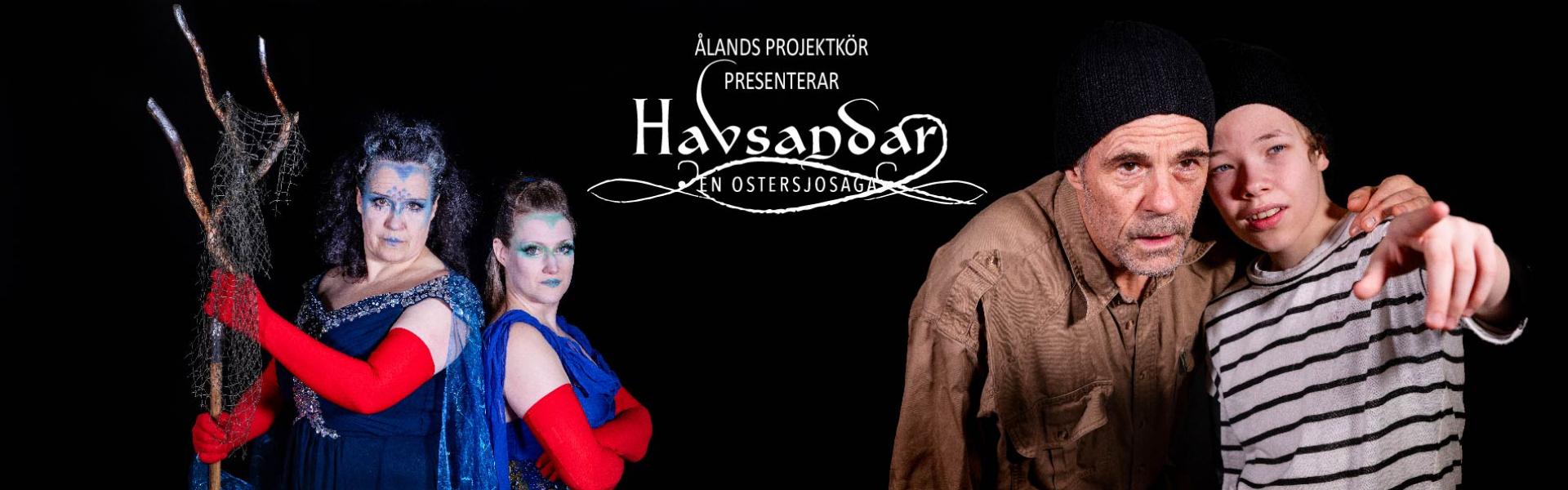 Landsida Havsandar 2024_loggo
